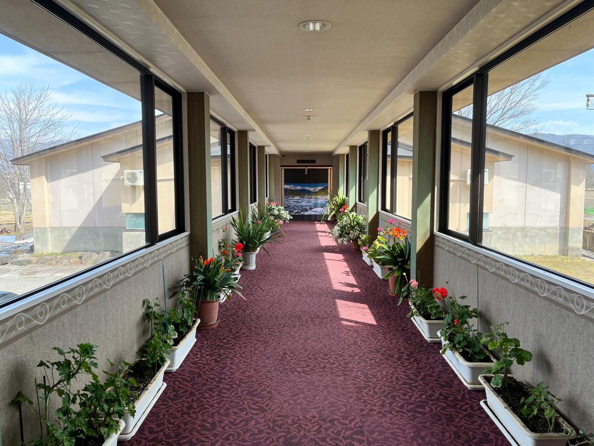 Hotel Goryukan Hakuba Exterior photo